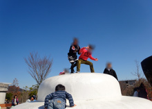 近くの公園にでかけて楽しそう